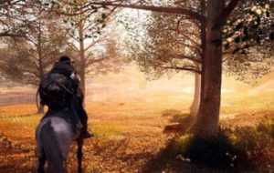 Pearl Abyss Q1 2025: تلاش چینی Black Desert Mobile به پایان رسیده است